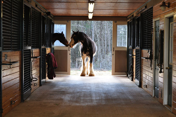 Barn Aisle